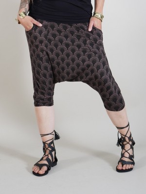 Choco brown Toonzshop Komodo Drop Printed Harem Pants Women Pants | 79406TGMI