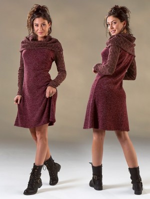 Wine Toonzshop Nouchka Crochet Sleeves And Big Collar Skater Sweater Dress Women Dress | 47519XRZF