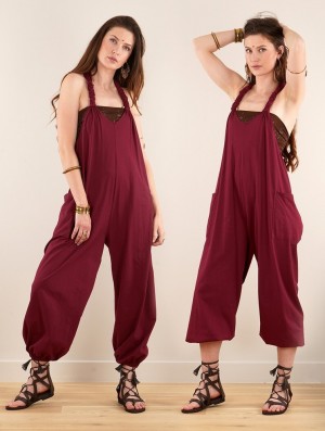 Wine Toonzshop Sampatti Harem Pant Overalls Women Pants | 09634FWAM